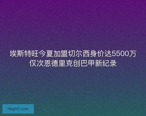 埃斯特旺今夏加盟切尔西身价达5500万仅次恩德里克创巴甲新纪录