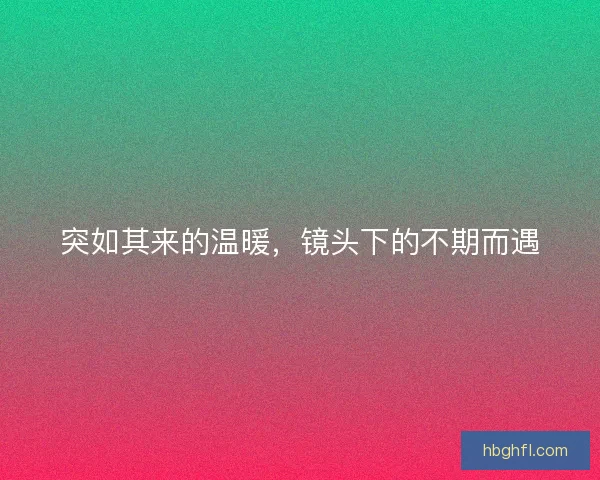 突如其来的温暖，镜头下的不期而遇