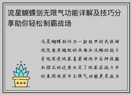 流星蝴蝶剑无限气功能详解及技巧分享助你轻松制霸战场